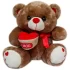Urso de Pelúcia 30 cm Presente Cheio de Amor