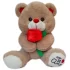 Urso de Pelúcia com Flor 28 cm