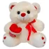 Urso de Pelúcia 30cm Cesta de Corações