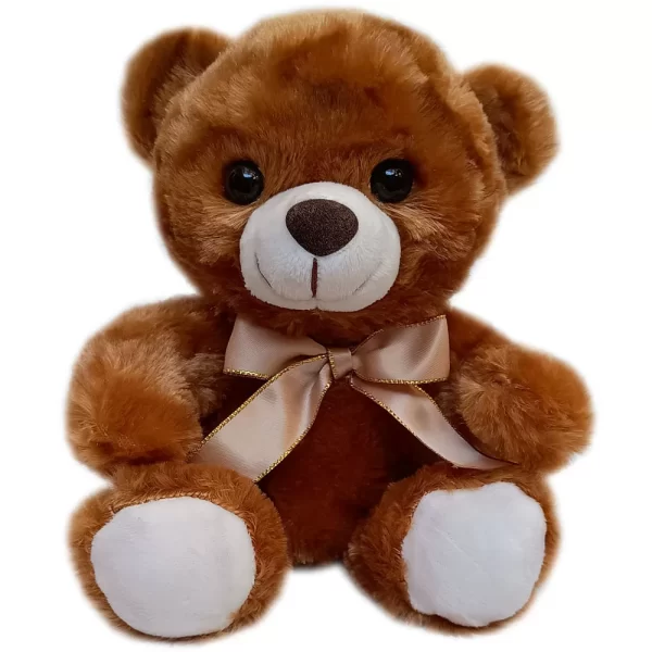 Ursinho de Pelúcia 20 cm com Laço